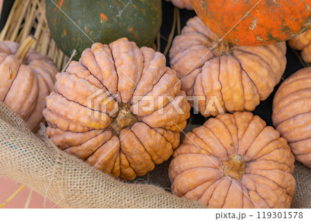 ハロウィン・イベント イメージ 119301578