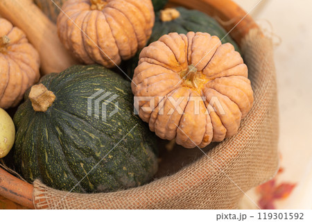 ハロウィン・イベント イメージ 119301592