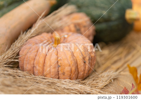 ハロウィン・イベント イメージ ハロウィン・イベント イメージ 119301600