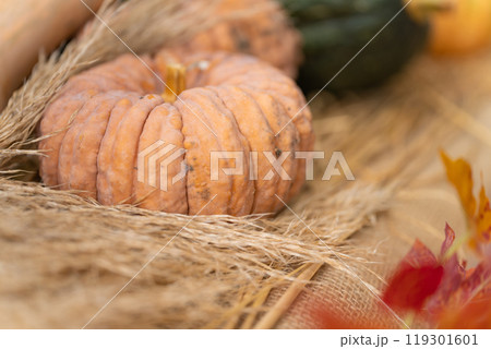 ハロウィン・イベント イメージ ハロウィン・イベント イメージ 119301601