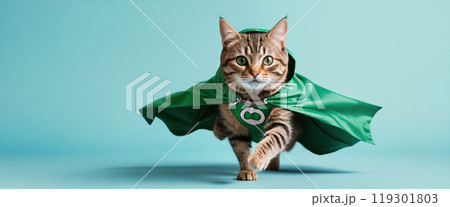 Adorable tabby cat wearing superhero cape walking on blue background Adorable tabby cat wearing superhero cape walking on blue background 119301803