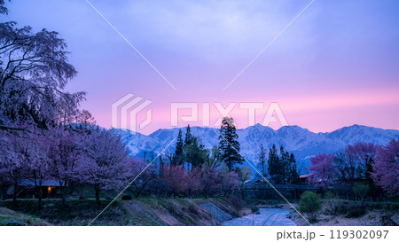 長野県白馬村、大出の吊り橋と桜が夕日に染まる一枚 長野県白馬村、大出の吊り橋と桜が夕日に染まる一枚 119302097