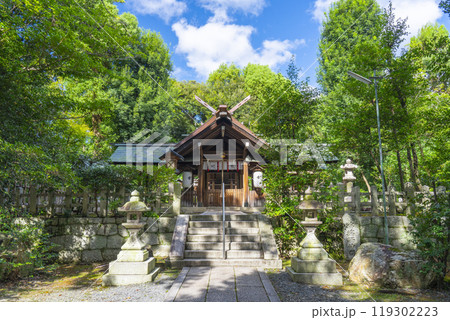 木嶋坐天照御魂神社 本殿前(京都市右京区太秦) 木嶋坐天照御魂神社 本殿前(京都市右京区太秦) 119302223
