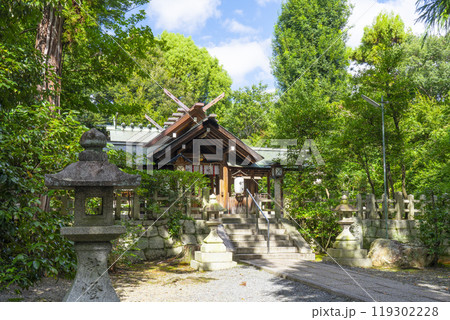 木嶋坐天照御魂神社　本殿前（京都市右京区太秦） 119302228