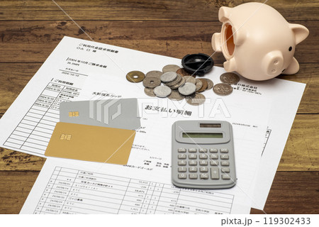 クレジットカードの支払いと集めた小銭 119302433