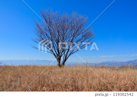小金沢連嶺の湯の沢峠 119302542
