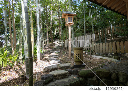 石切劔箭神社上之社・八代龍王神社の横の竹林（2024年9月撮影） 119302624