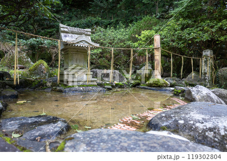 石切劔箭神社上之社の御礼池(御礼亀を奉納)(2024年9月撮影) 石切劔箭神社上之社の御礼池(御礼亀を奉納)(2024年9月撮影) 119302804