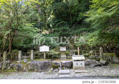 石切劔箭神社上之社の御礼池(御礼亀を奉納)(2024年9月撮影) 石切劔箭神社上之社の御礼池(御礼亀を奉納)(2024年9月撮影) 119302806