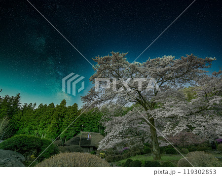 埼玉県で唯一の村、東秩父村の道の駅にある桜と天の川と茅葺の建物 119302853