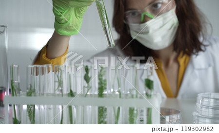 Woman scientist with dark hair wearing a lab coat, green gloves and mask holding a test tube with plants inside, close up. Science and medicine concepts Woman scientist with dark hair wearing a lab coat, green gloves and mask holding a test tube with plants inside, close up. Science and medicine concepts 119302982