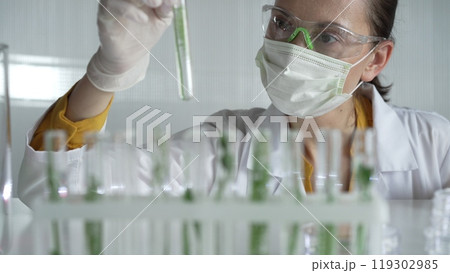 Woman scientist and researcher, wearing a lab coat, green protective gloves and face mask holding a test tube with plants inside, close up. Science concepts Woman scientist and researcher, wearing a lab coat, green protective gloves and face mask holding a test tube with plants inside, close up. Science concepts 119302985