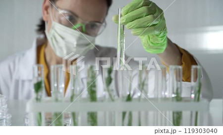 Woman scientist wearing a lab coat, green gloves and mask holding a test tube with plants inside, close up. Science and medicine concepts Woman scientist wearing a lab coat, green gloves and mask holding a test tube with plants inside, close up. Science and medicine concepts 119303040