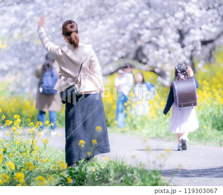 満開の桜と菜の花の中、小学生の女の子を見送る母親の姿 119303067