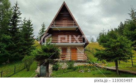 A quaint little wooden house situated right in the middle of a lush forest 119303497