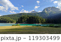A lake surrounded by a lush forest and mountains in the back 119303499