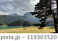 A lake surrounded by a lush forest and mountains in the back 119303520