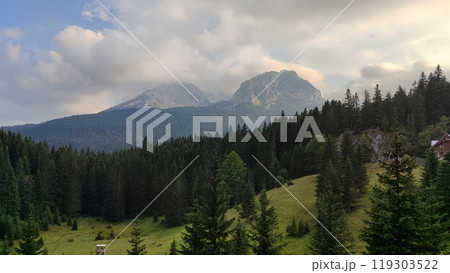A scenic view with colorful trees and grand mountains behind A scenic view with colorful trees and grand mountains behind 119303522