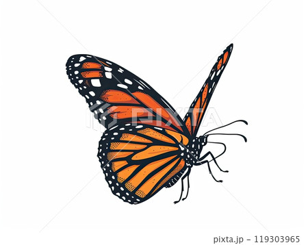 A detailed view of a monarch butterfly against a plain white backdrop A detailed view of a monarch butterfly against a plain white backdrop 119303965