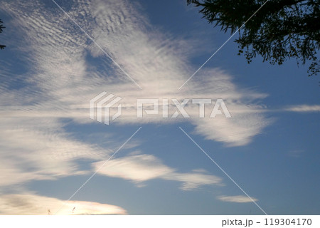 岩手県小岩井農場から見た秋の雲 岩手県小岩井農場から見た秋の雲 119304170