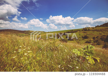 Mountain landscape on a sunny autumn day. View of the hills. Beautiful natural landscape. Carpathians, Ukraine 119304488