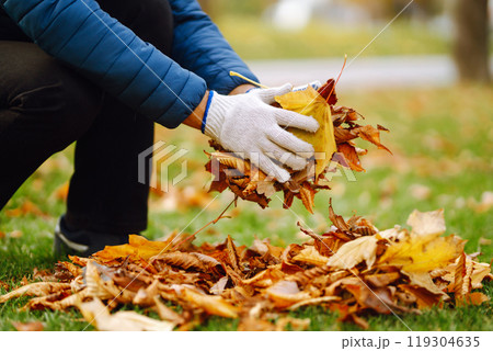 Harvesting autumn leaves. Man cleans the autumn park from yellow leaves. Volunteering, cleaning. Harvesting autumn leaves. Man cleans the autumn park from yellow leaves. Volunteering, cleaning. 119304635