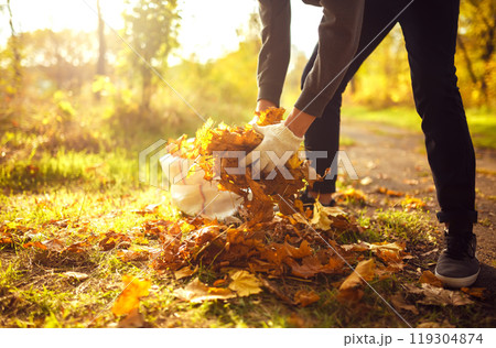 Young boy cleans fallen leaves. Concept of purity. autumn leaves. Outdoor. Gloves on his hands. 119304874