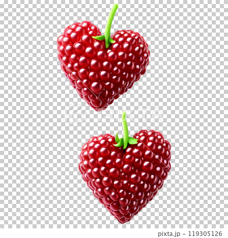 Loganberries dark red elongated and glossy soft heart outline with gentle highlights Food and culinary 119305126