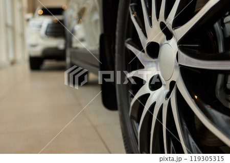 Detailed shot of a sleek black and silver alloy wheel on a motor vehicle 119305315