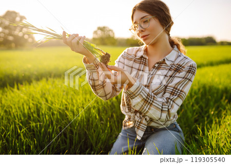 Close-up of a young woman farmer in glasses holding young sprout in her hands on green wheat field. 119305540