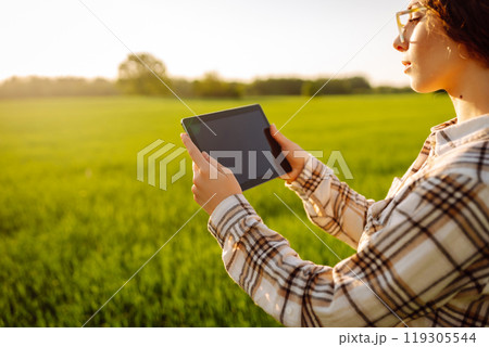 A woman farmer with modern tablet evaluates the shoots with her hand. Farm work with digital tablet. 119305544