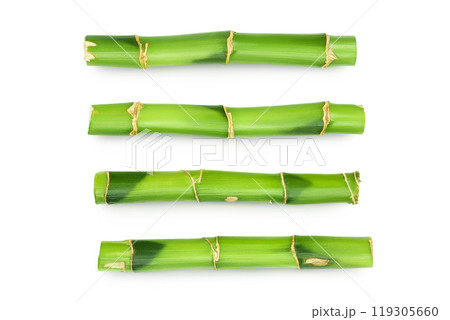 Green bamboo isolated on white background. Top view. Flat lay Green bamboo isolated on white background. Top view. Flat lay 119305660
