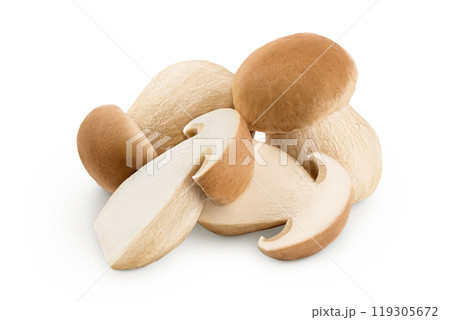 Fresh porcini cep mushroom isolated on white background with full depth of field Fresh porcini cep mushroom isolated on white background with full depth of field 119305672