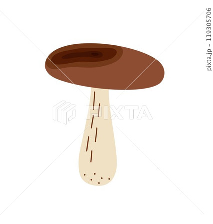 Mushroom, toadstool seasonal Halloween vector illustration of inedible fairy, magic fantasy mushroom clipart autumn holidays simple minimalist hand drawn cartoon drawing, witchcraft symbol Mushroom, toadstool seasonal Halloween vector illustration of inedible fairy, magic fantasy mushroom clipart autumn holidays simple minimalist hand drawn cartoon drawing, witchcraft symbol 119305706