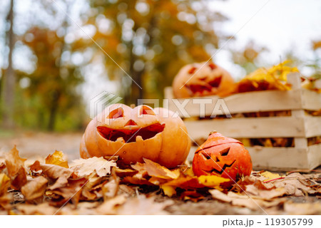 Set of orange pumpkins for halloween. Holidays, decoration concept. Set of orange pumpkins for halloween. Holidays, decoration concept. 119305799