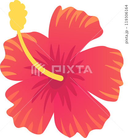 Beautiful red hibiscus flower with a yellow stamen is blooming in the summer heat. The petals are a deep red with orange veins, and the center of the flower is a bright yellow 119306164