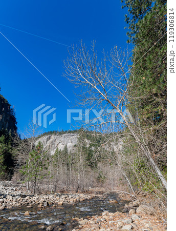 Sunny view of the river landscape in Yosemite National Park 119306814