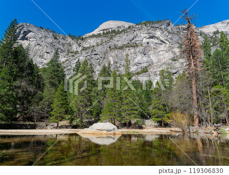 Sunny view of the river landscape in Yosemite National Park 119306830