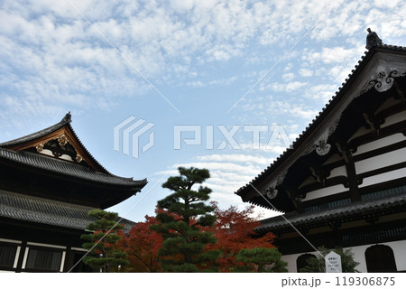 秋の東福寺　本殿と禅堂【重要文化財】 119306875