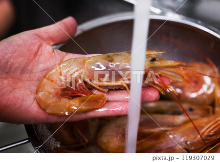 Raw fresh langoustines in colander ready to cook Raw fresh langoustines in colander ready to cook 119307029