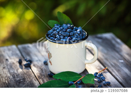 Fresh ripe summer edible blue honeysuckle in enamel mug 119307086