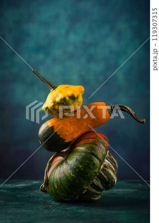 Various decorative pumpkin on green background Various decorative pumpkin on green background 119307315