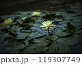 すいれん 119307749