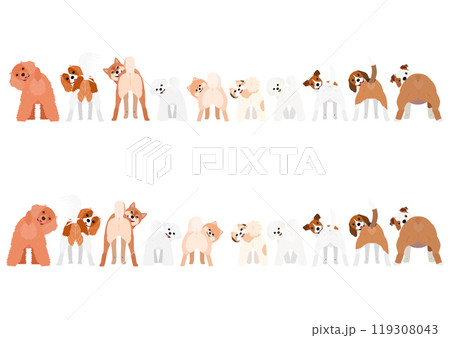 いろいろな犬のグループ、一列、種類、小型犬 119308043