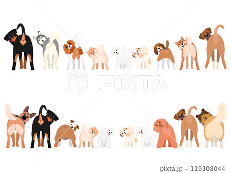 いろいろな犬のグループ、一列、種類、小型犬と大型犬 119308044