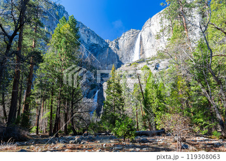 Sunny view of the Lower Yosemite Falls in Yosemite National Park 119308063