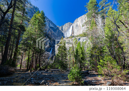 Sunny view of the Lower Yosemite Falls in Yosemite National Park Sunny view of the Lower Yosemite Falls in Yosemite National Park 119308064