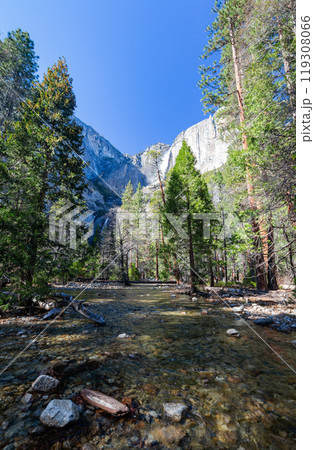 Sunny view of the river landscape in Yosemite National Park 119308066
