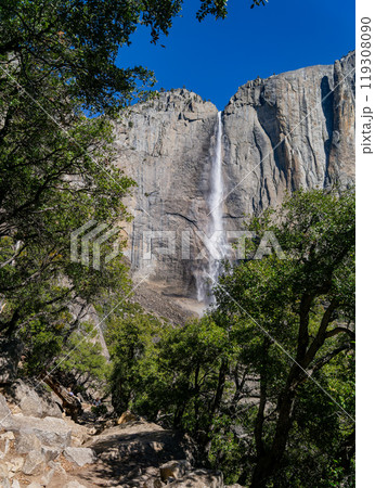 Sunny view of the Upper Yosemite Falls in Yosemite National Park Sunny view of the Upper Yosemite Falls in Yosemite National Park 119308090
