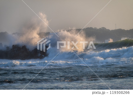茨城県北茨城市　天妃山の朝 119308266